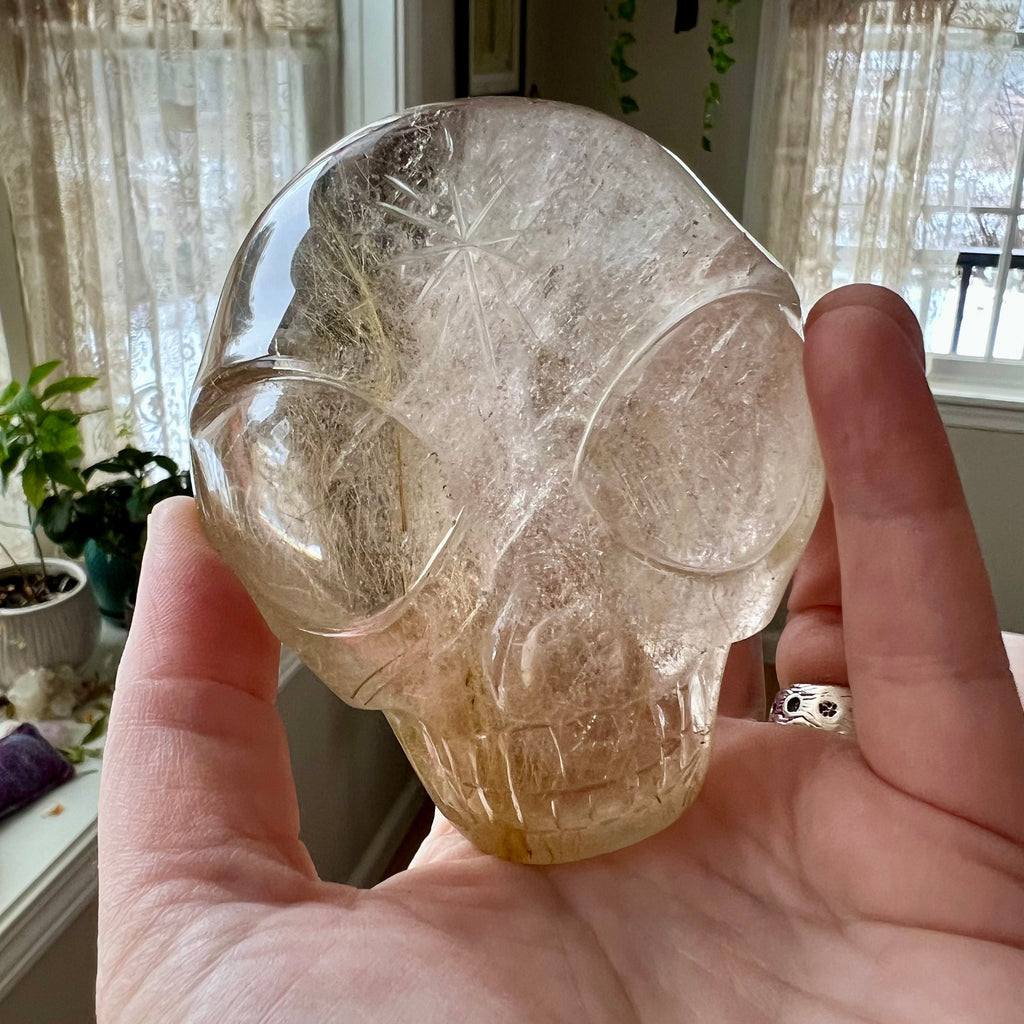 Large Rutile Citrine Crystal Skull: Leandro De Souza Carving