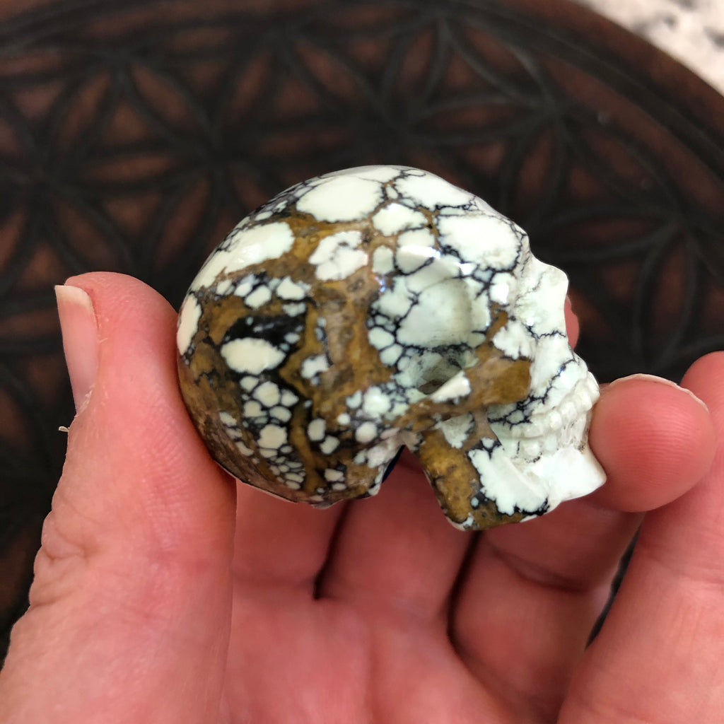 New Lander Chalcosiderite Highly Detailed Skull by Artifactual