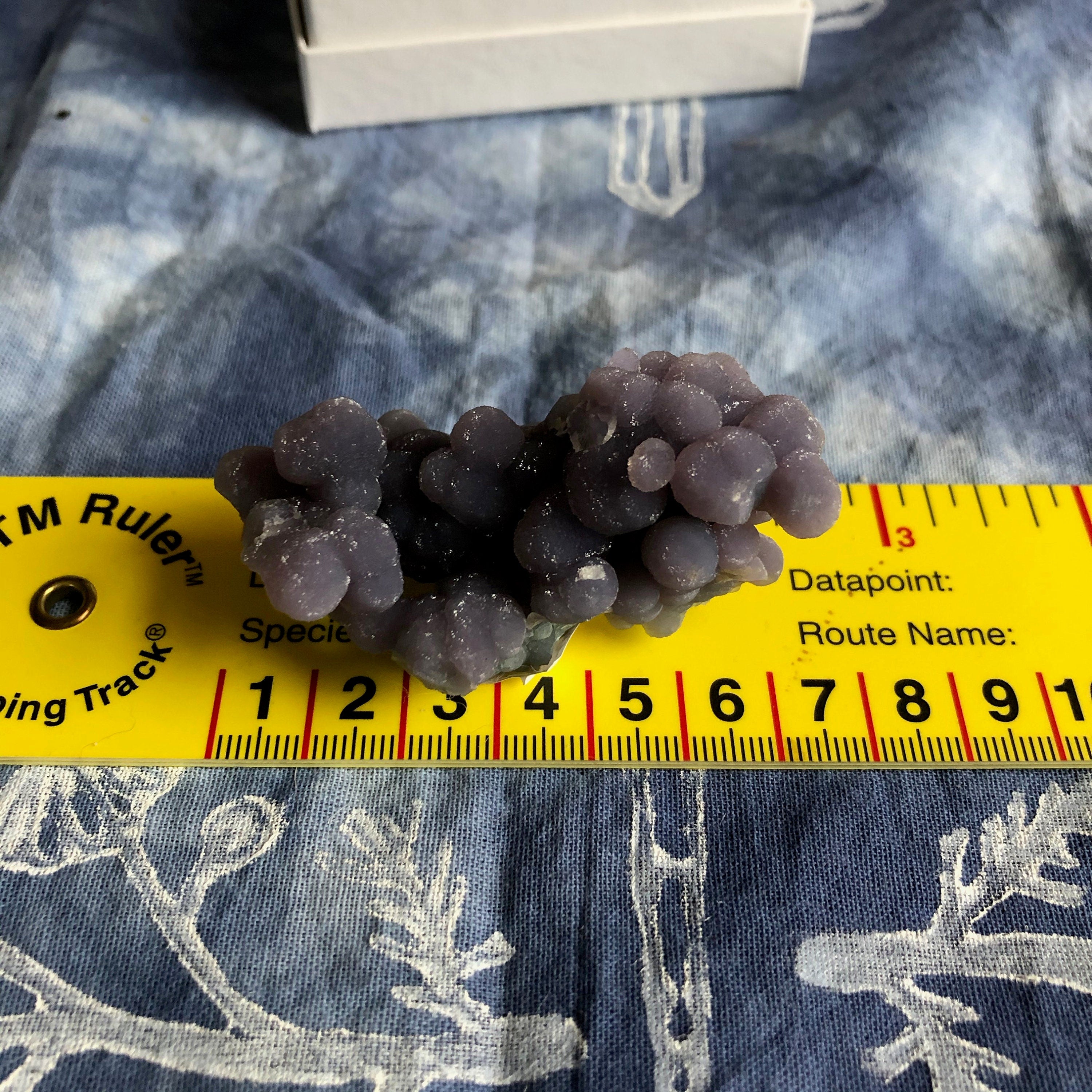 Purple & Green Grape Agate Specimen: Rare Chalcedony