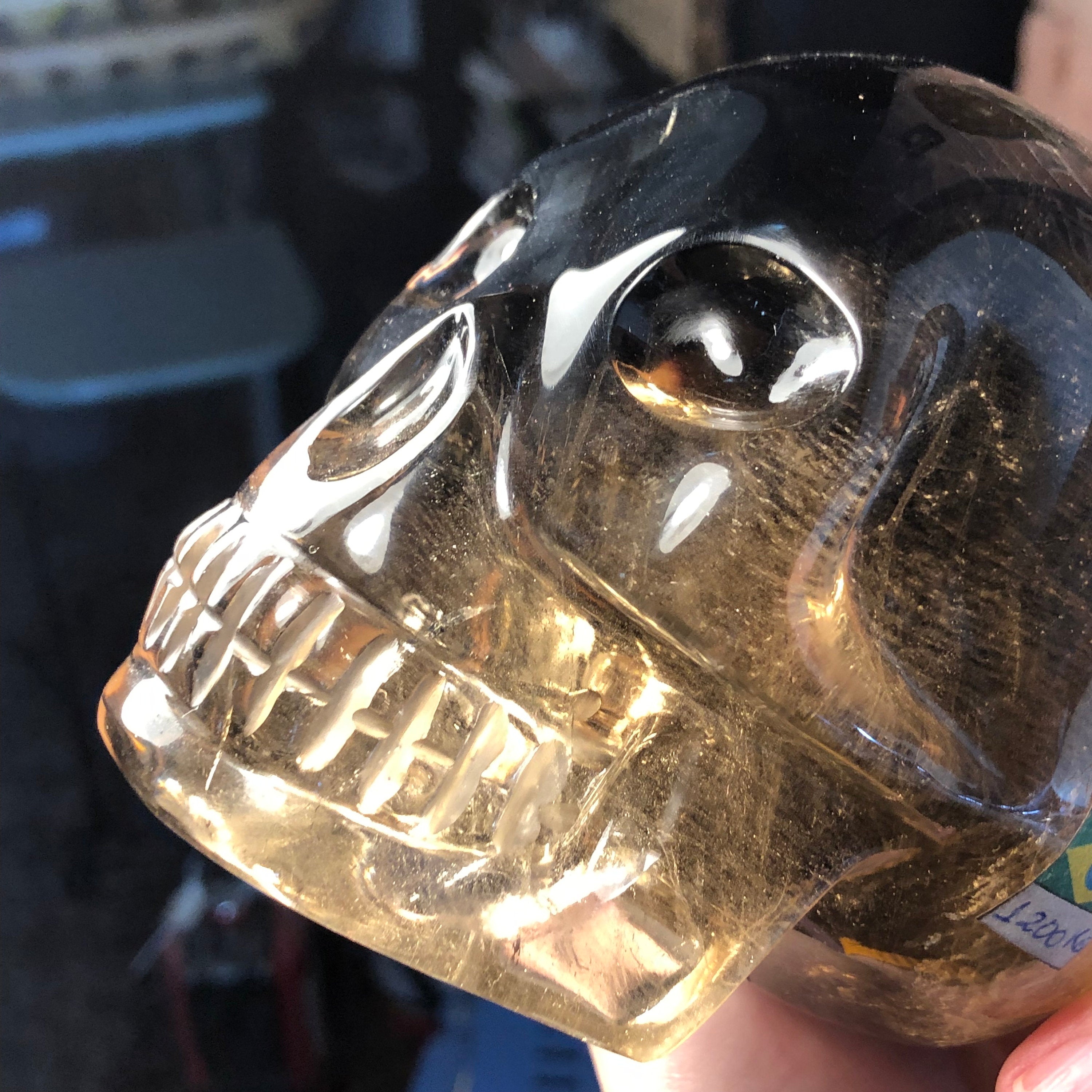 Wilson Venturini Baby Face Skull