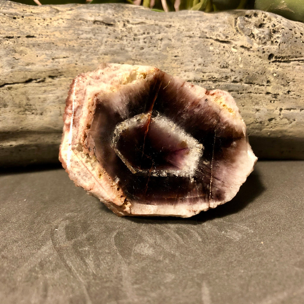 Trapiche Amethyst, Rough Polished