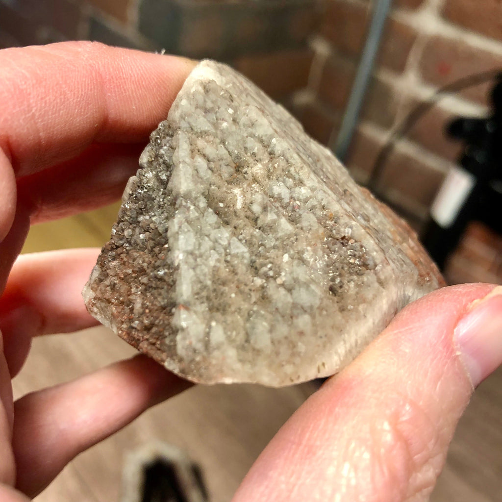 Trapiche Amethyst, Rough Polished