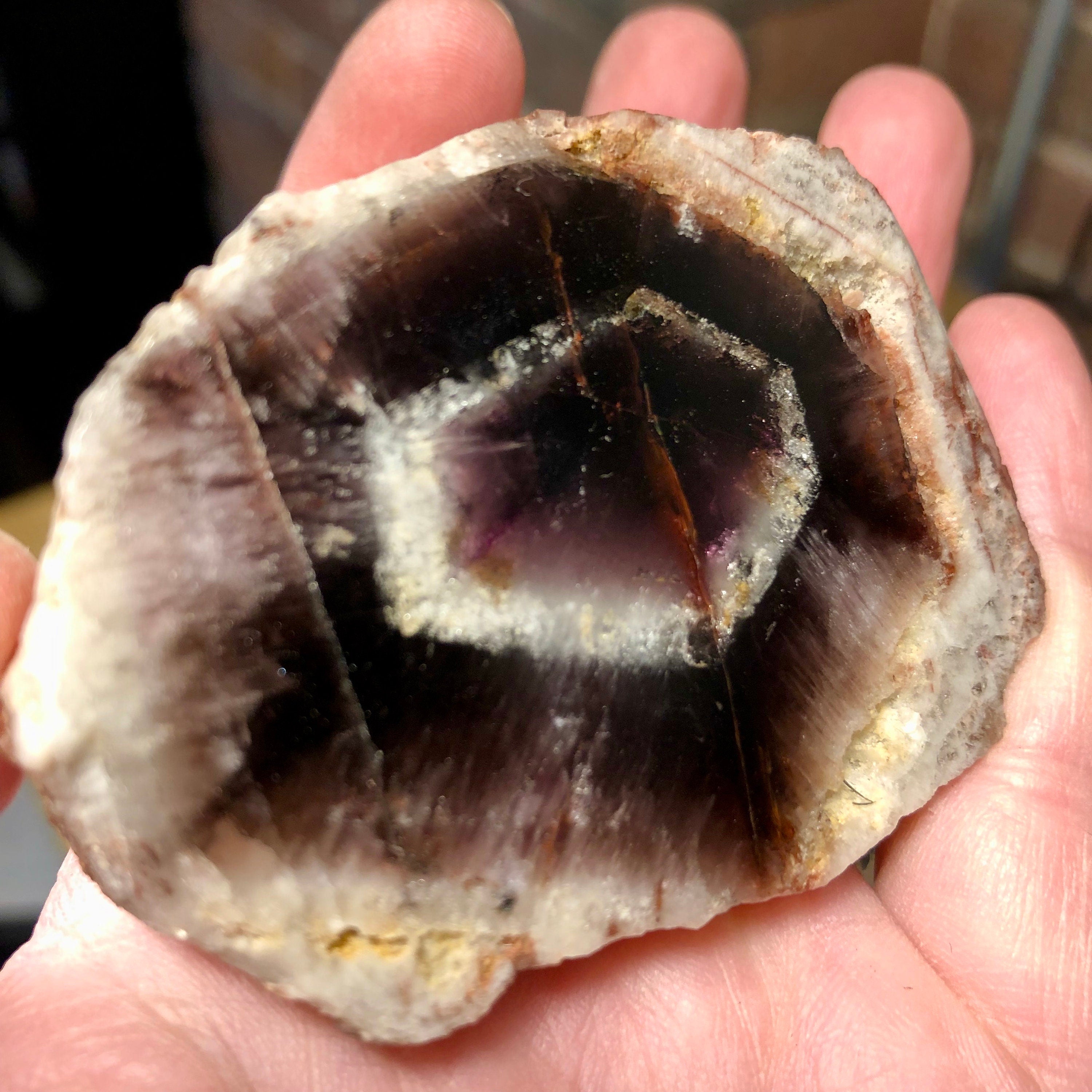 Trapiche Amethyst, Rough Polished