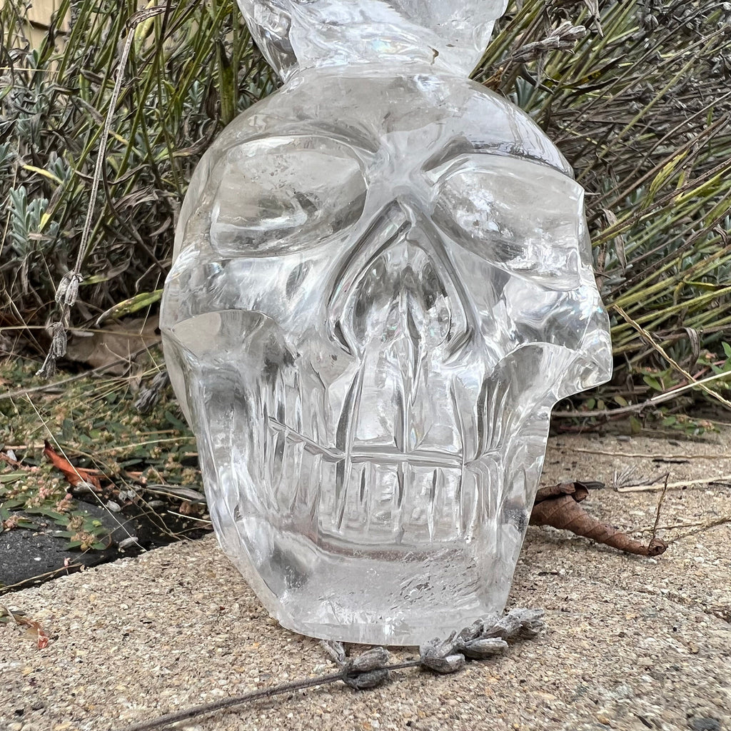 Quartz Double Skull Carving with Rainbows - Venturini Family