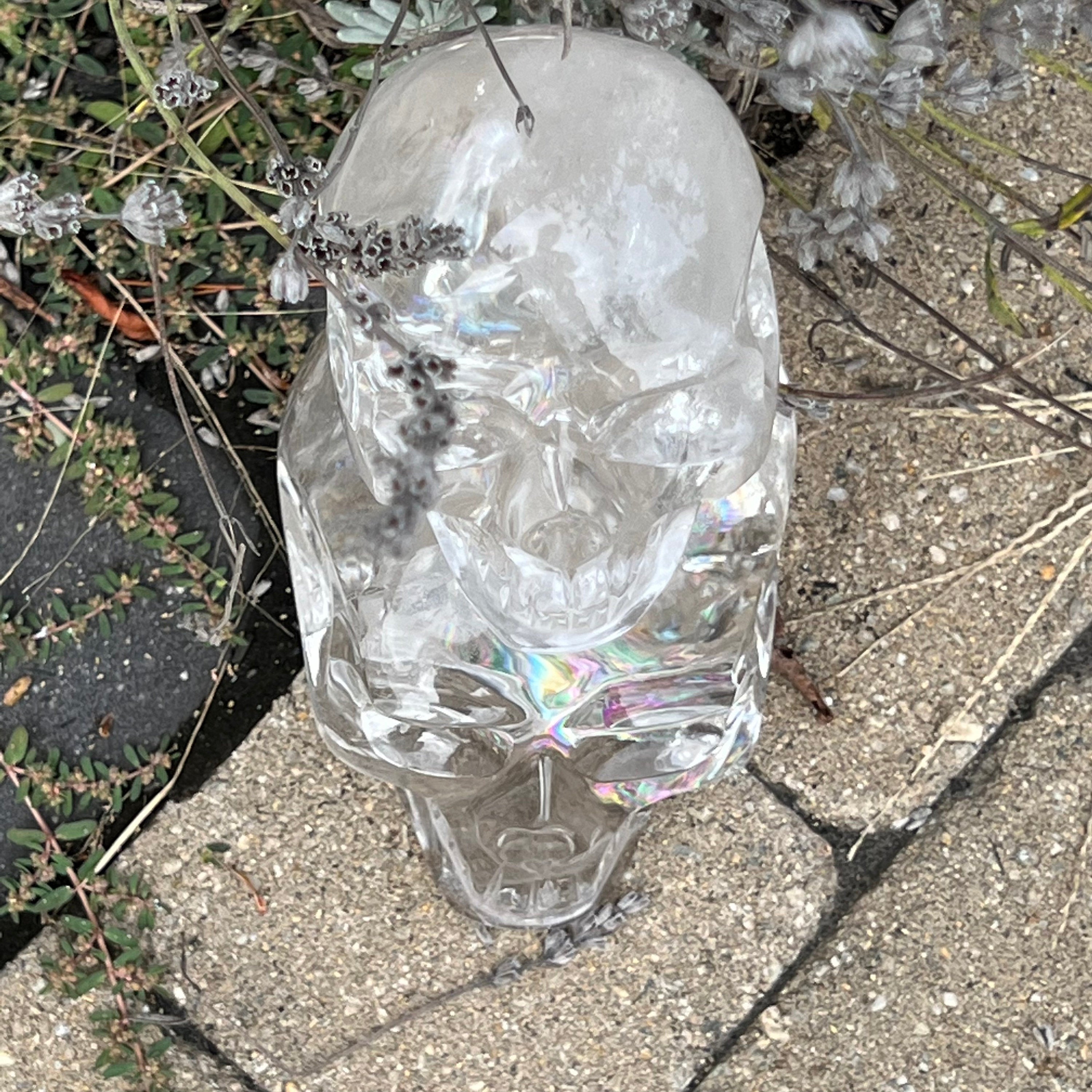 Quartz Double Skull Carving with Rainbows - Venturini Family