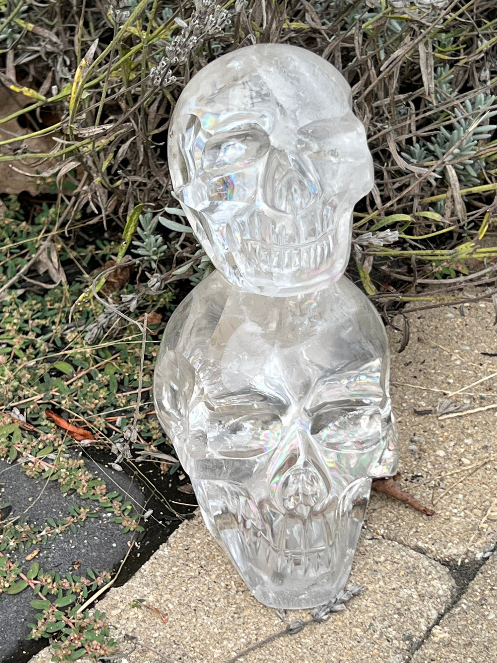 Quartz Double Skull Carving with Rainbows - Venturini Family