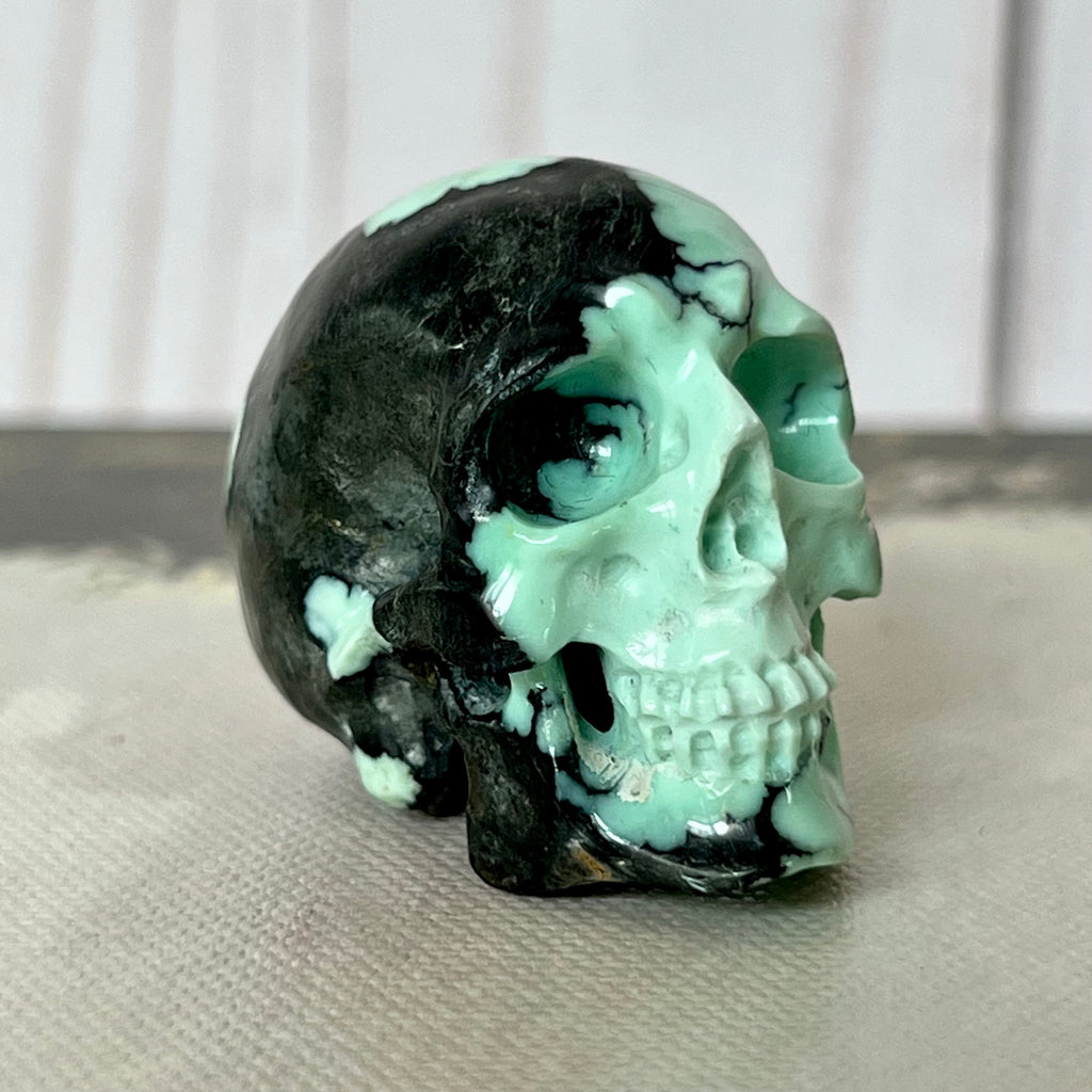 Peacock Variscite Skull: Bicolor Crystal Carving (1.5" x 1")