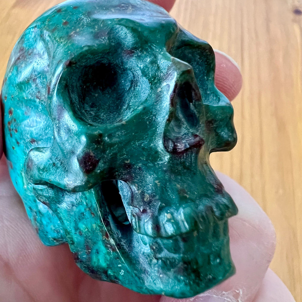 Handsome Chrysocolla Skull from Artifactual