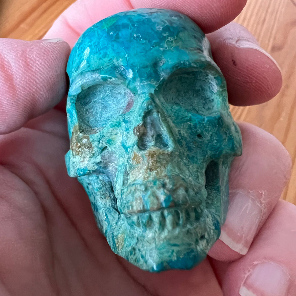Handsome Chrysocolla Skull from Artifactual