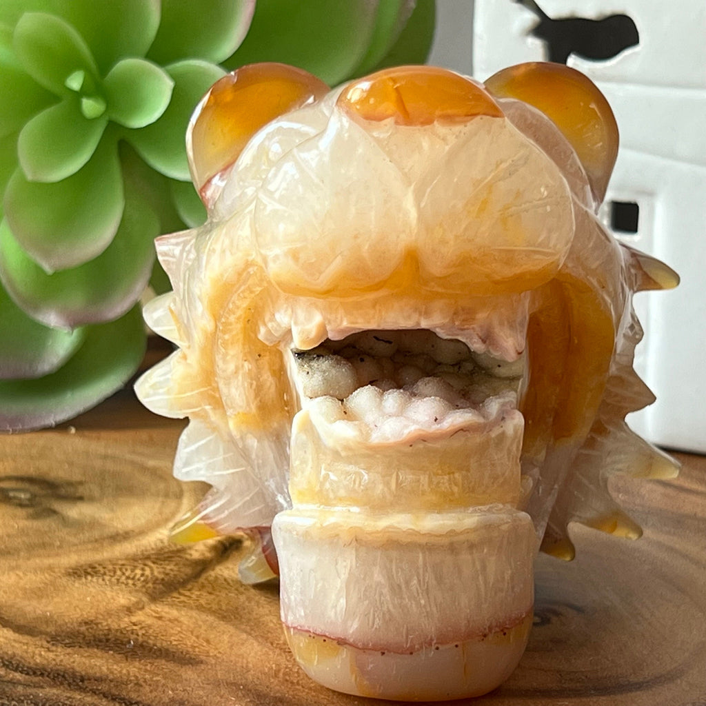 Carnelian Druzy Lion Carving: Sacral Chakra Stone