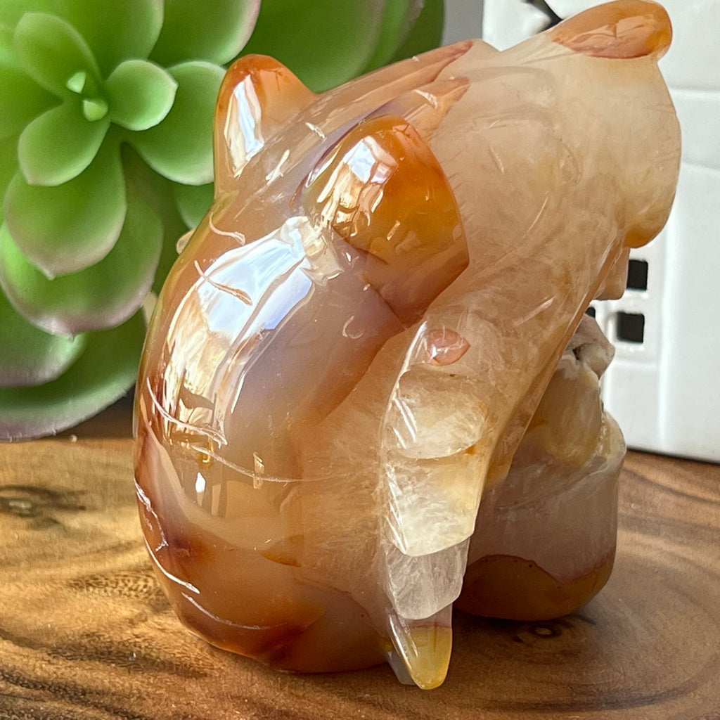 Carnelian Druzy Lion Carving: Sacral Chakra Stone