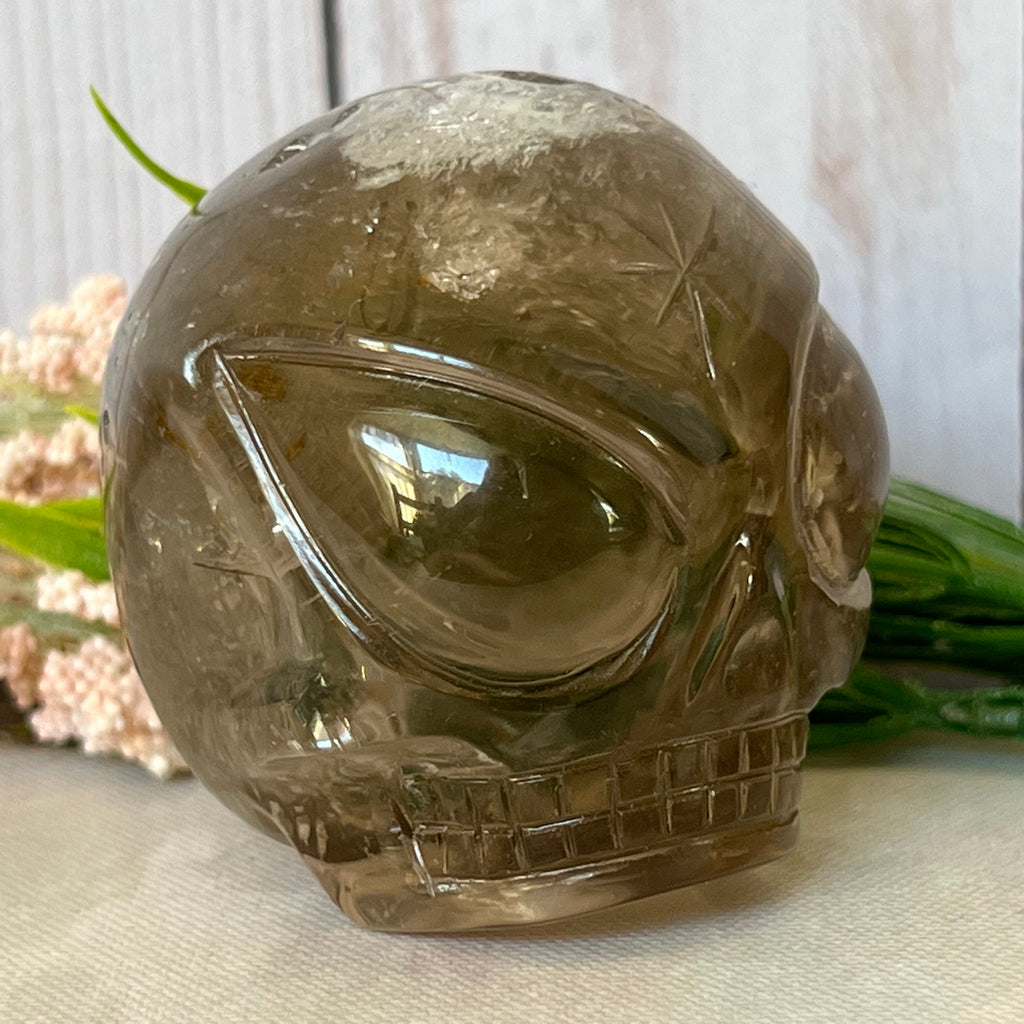 Adorable Citrine Leandro De Souza Star Child Crystal Skull With Rainbows