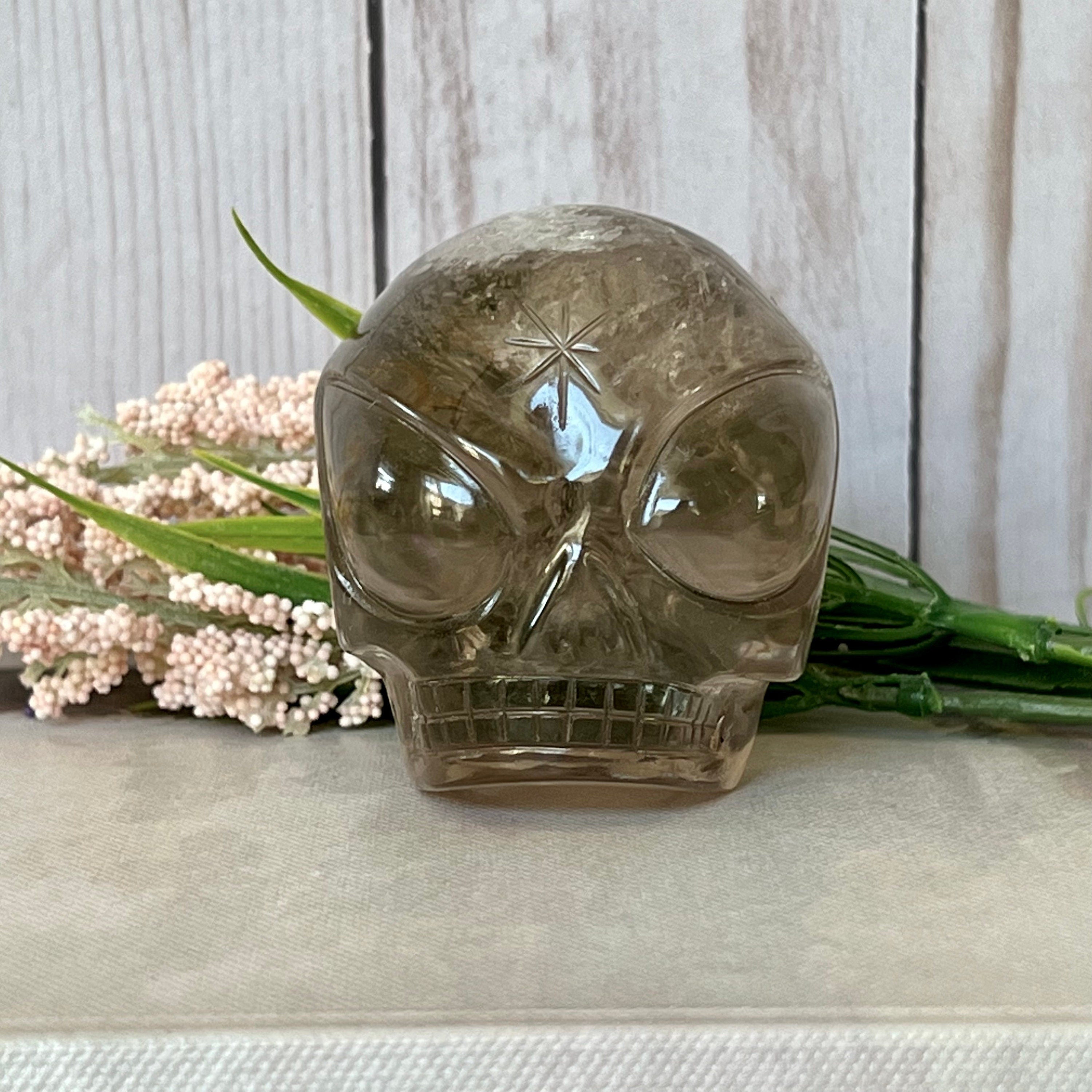 Adorable Citrine Leandro De Souza Star Child Crystal Skull With Rainbows