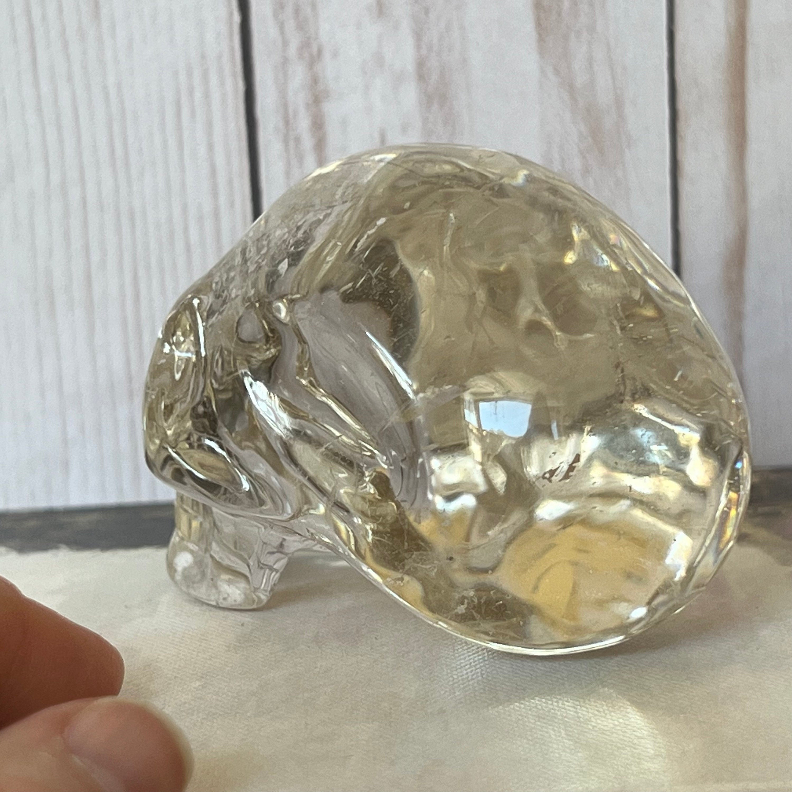 Friendly Elongated Leandro De Souza Crystal Skull