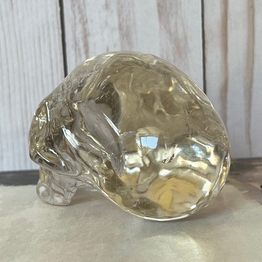 Friendly Elongated Leandro De Souza Crystal Skull