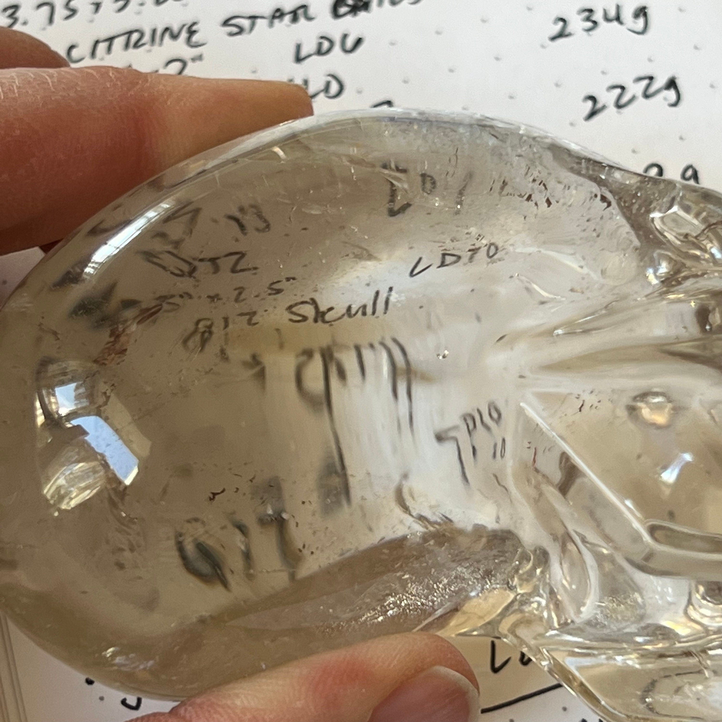Friendly Elongated Leandro De Souza Crystal Skull