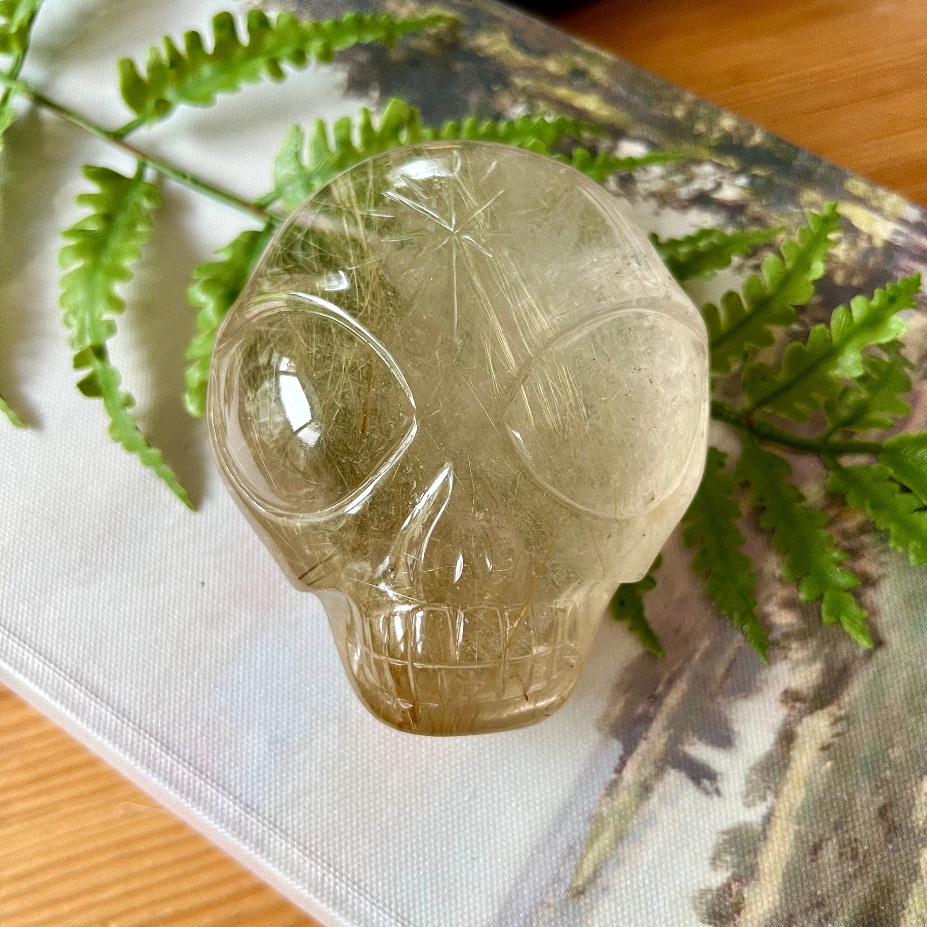 Citrine Golden Rutile Crystal Skull: Leandro De Souza Star Child