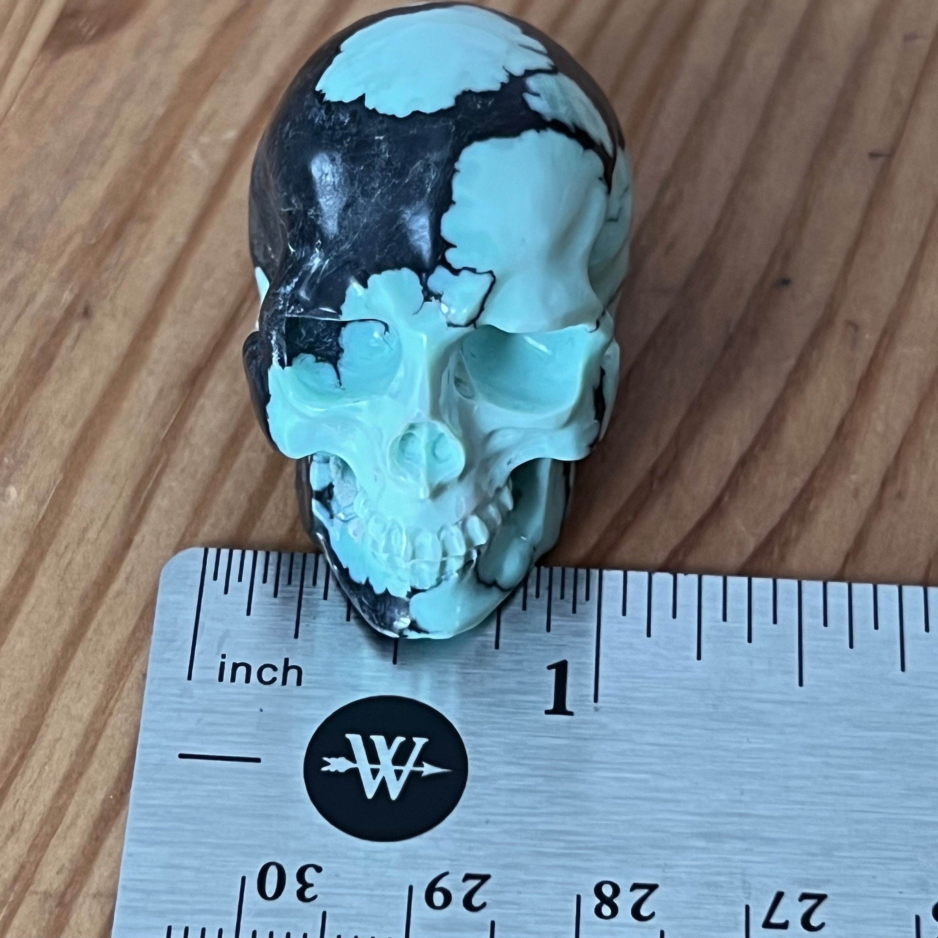 Peacock Variscite Skull: Bicolor Crystal Carving (1.5" x 1")