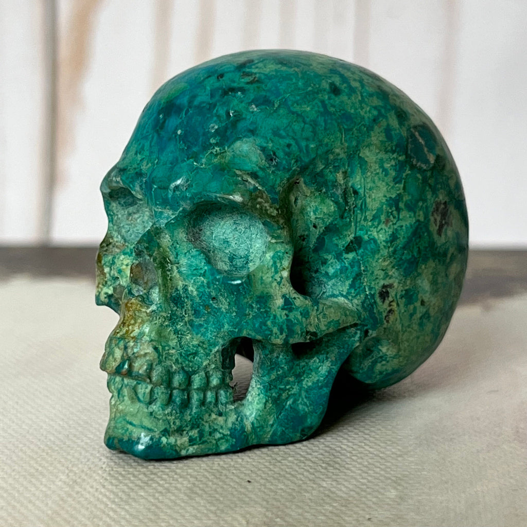 Handsome Chrysocolla Skull from Artifactual