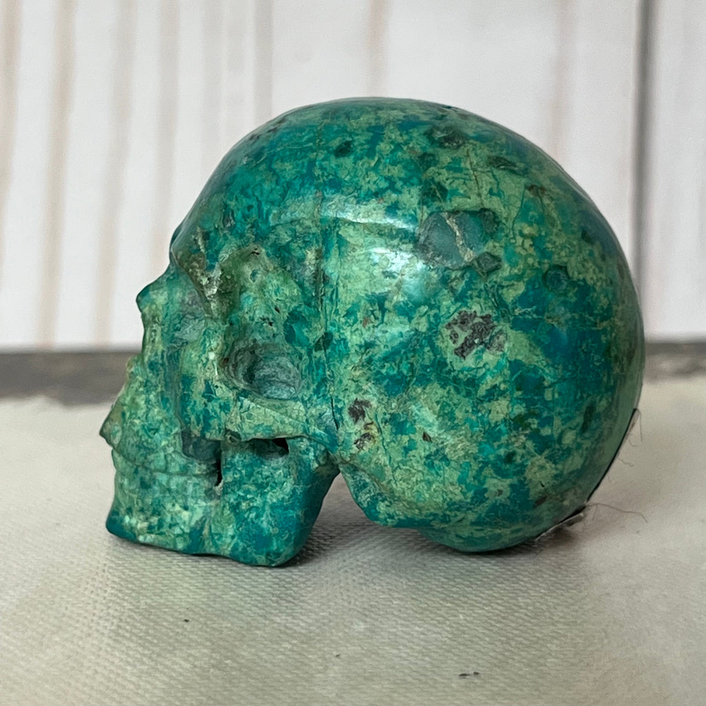Handsome Chrysocolla Skull from Artifactual