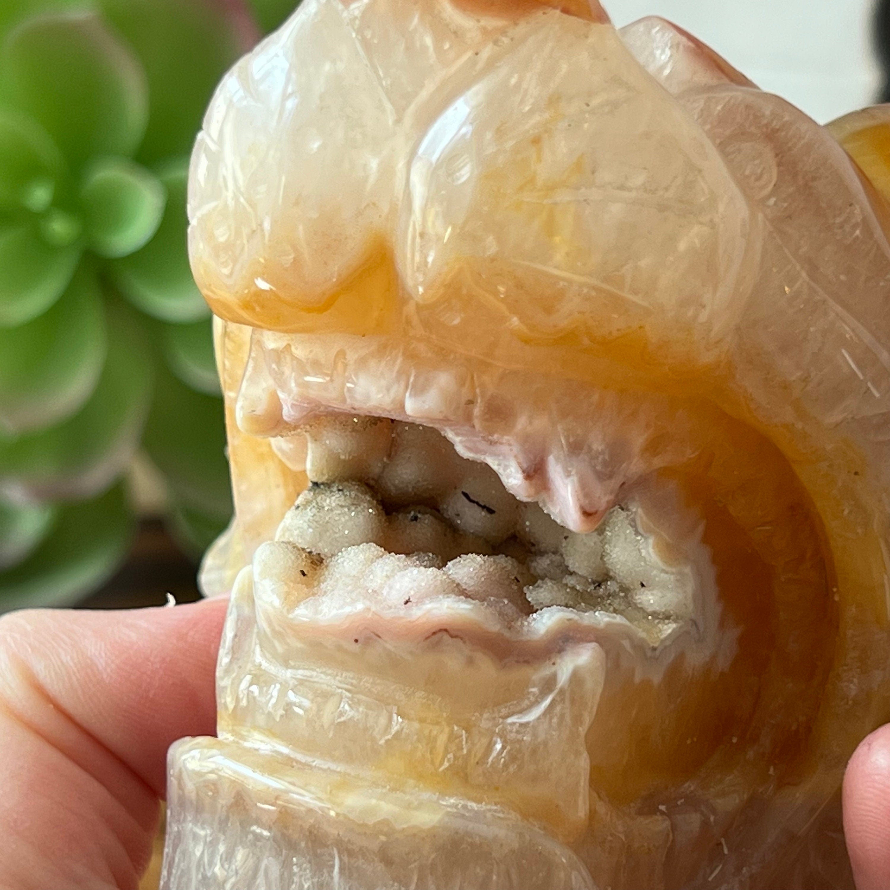 Carnelian Druzy Lion Carving: Sacral Chakra Stone