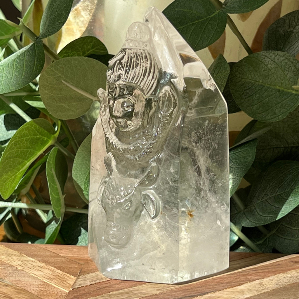 Astonishing Shiva and Bull Quartz Generator