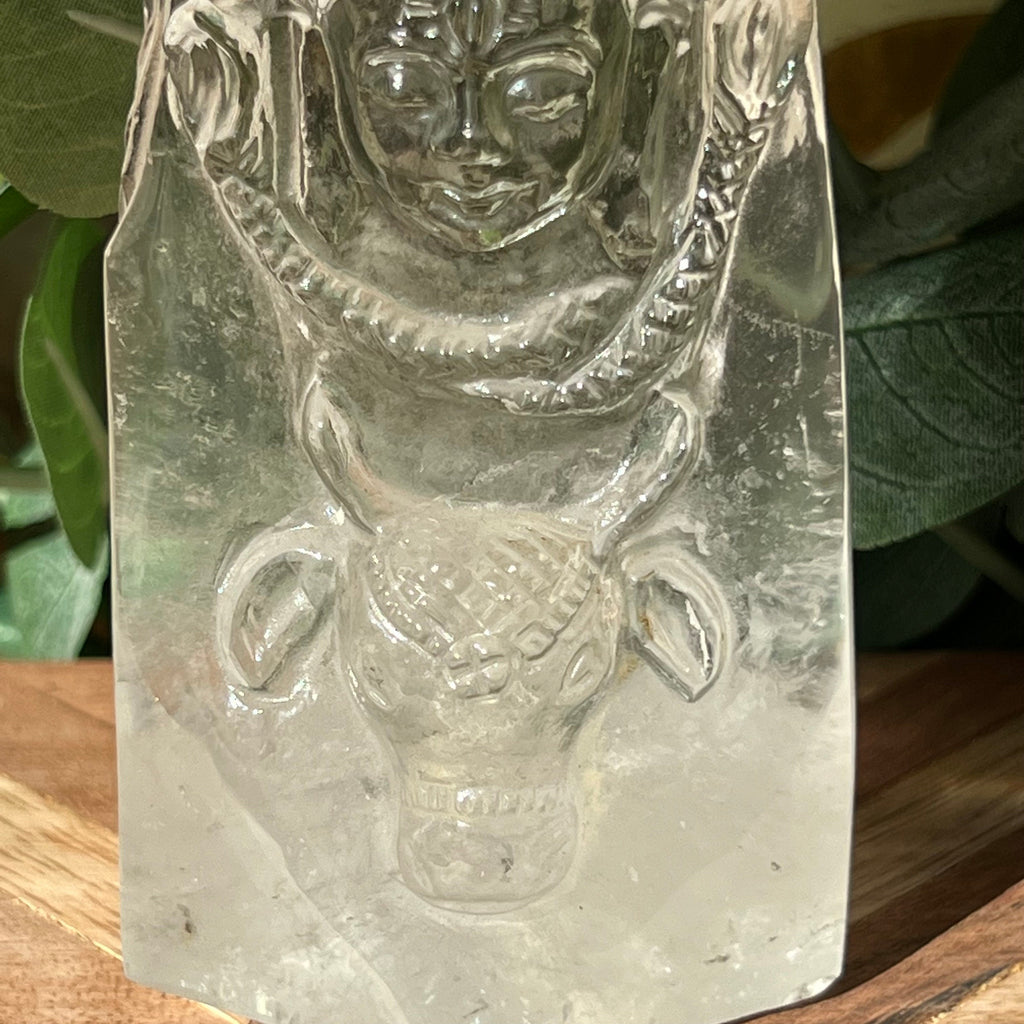 Astonishing Shiva and Bull Quartz Generator