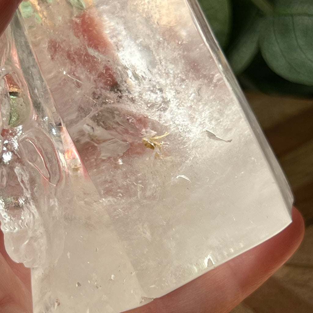 Astonishing Shiva and Bull Quartz Generator
