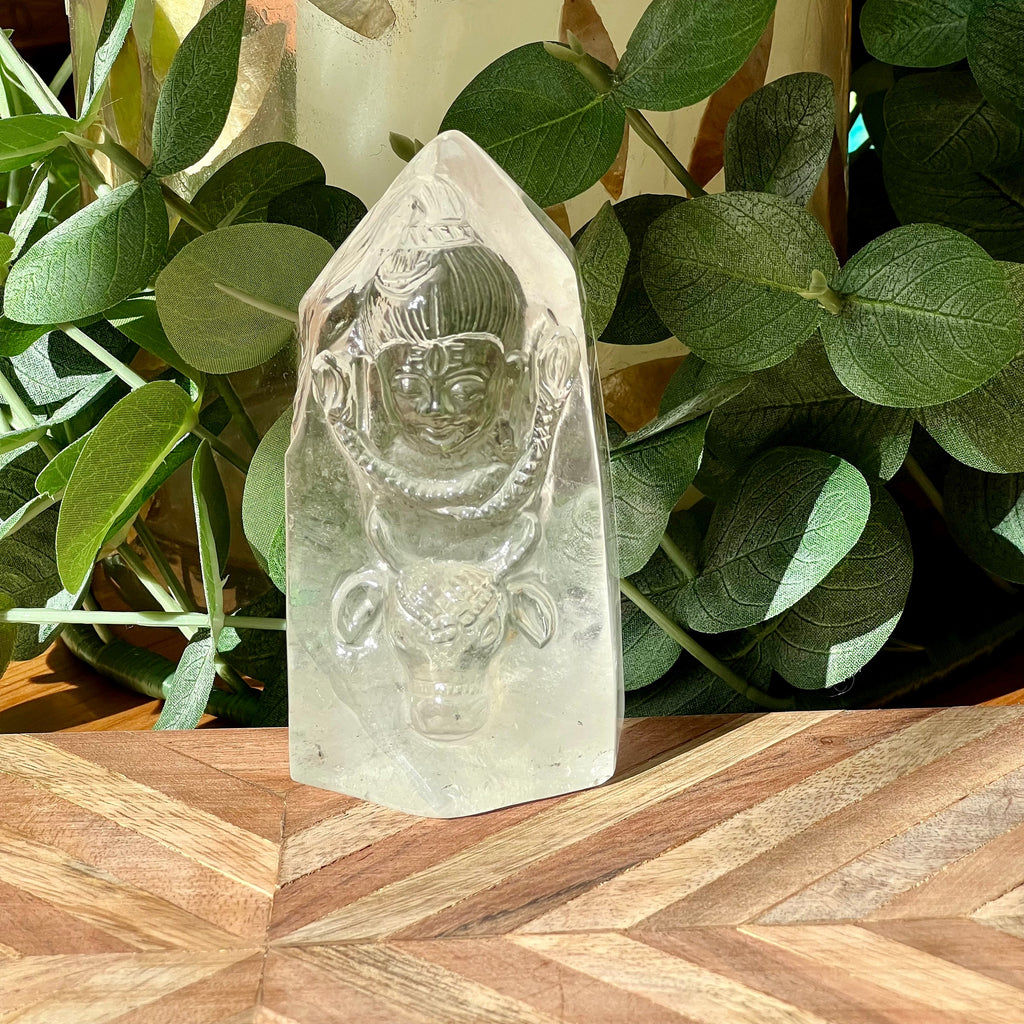 Astonishing Shiva and Bull Quartz Generator