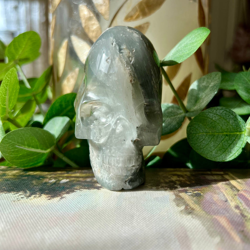 Included Quartz Crystal Skull: Gray Igor De Souza Stone