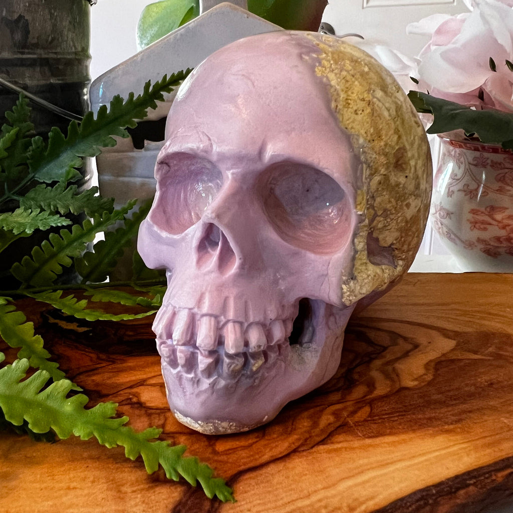 Large Phosphosiderite Skull from Starborn