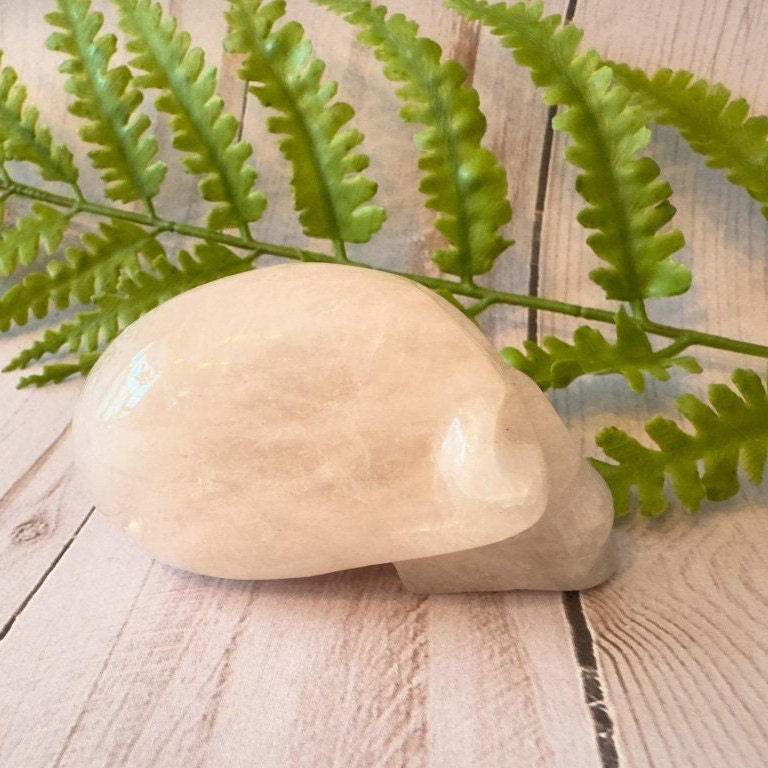 Igor de Souza Morganite Crystal Skull.