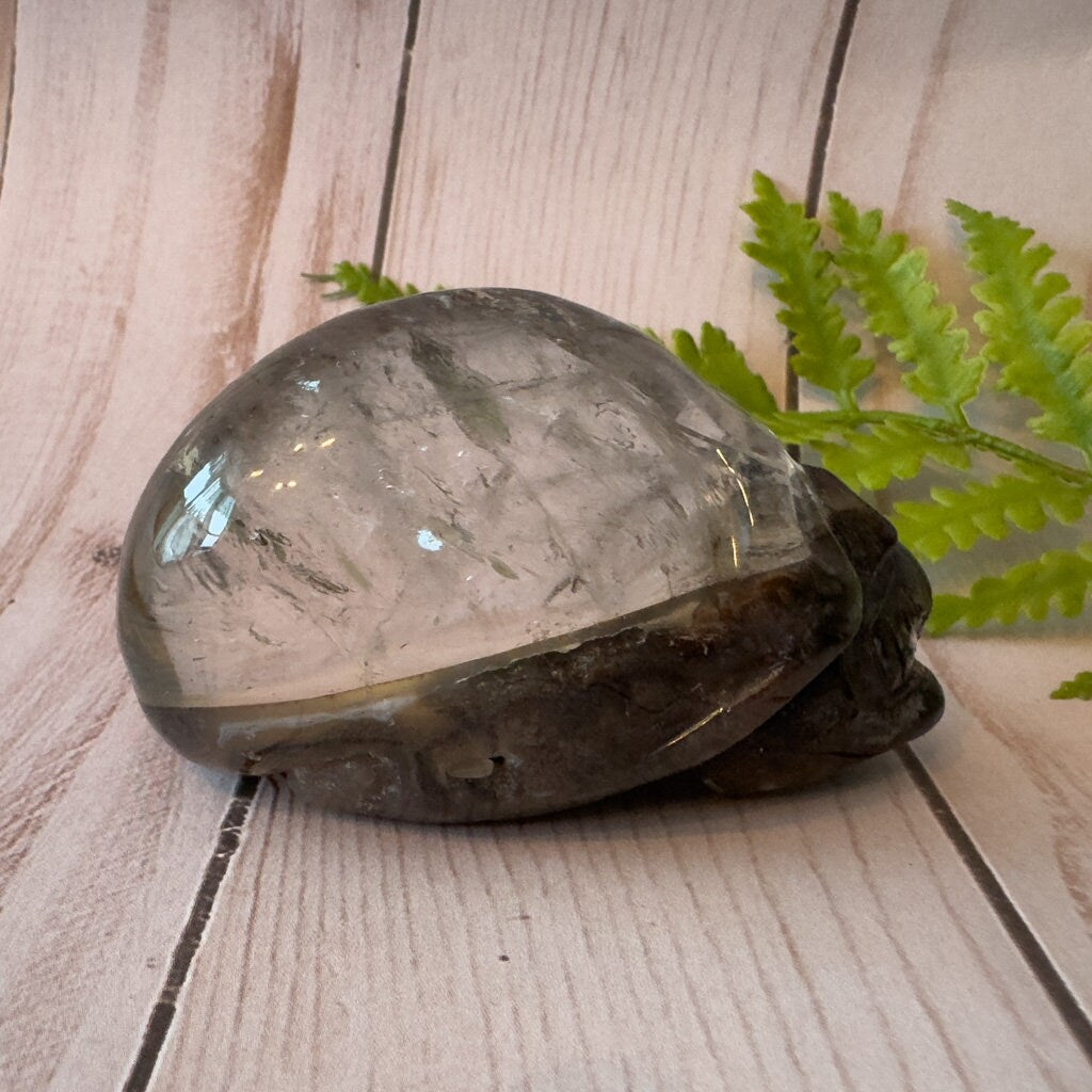 Gorgeous lodolite quartz skull carved by Igor de SGorgeous lodolite quartz skull carved by Igor de Souzaouza