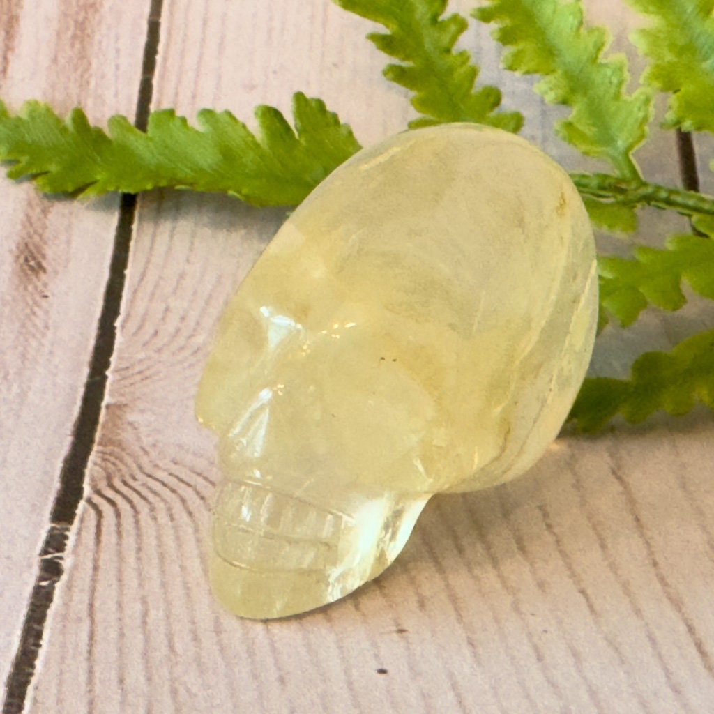 Elongated citrine skull by Igor de Souza