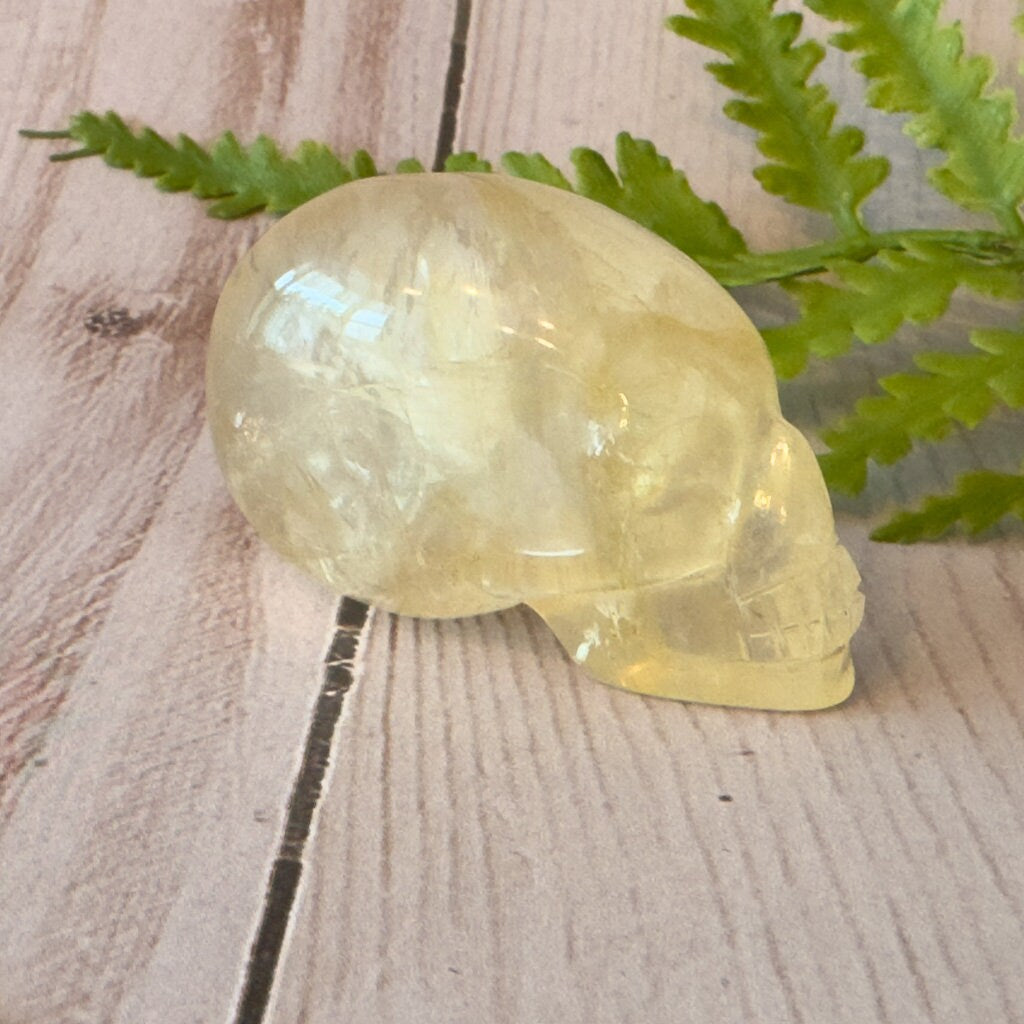 Elongated citrine skull by Igor de Souza