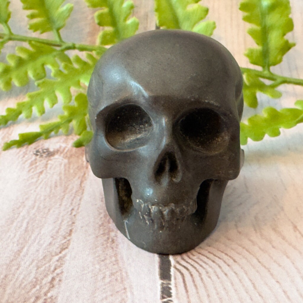Adorable shale skull carved by Artifactual.