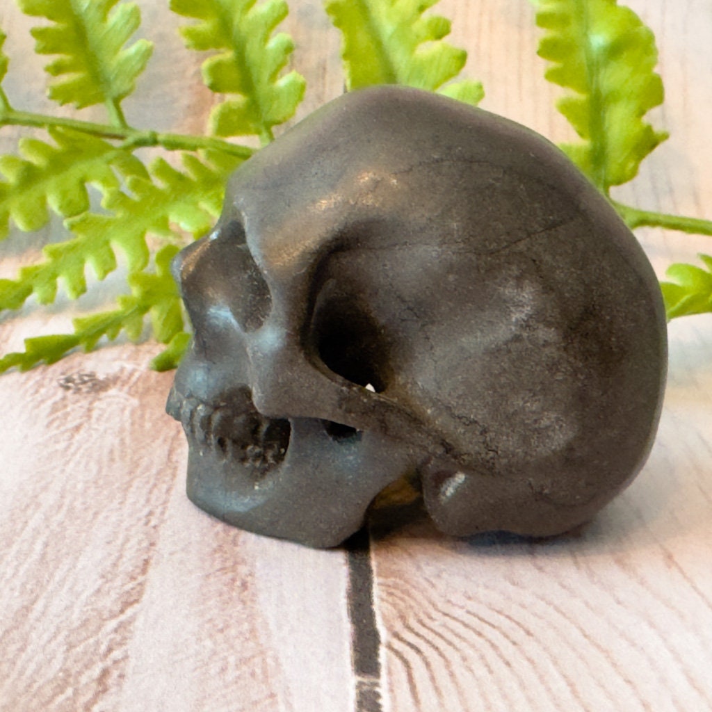 Adorable shale skull carved by Artifactual.