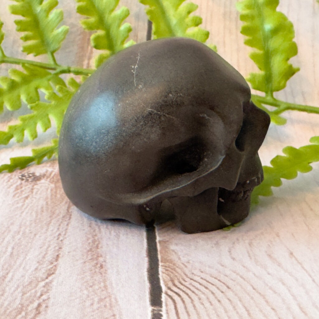 Adorable shale skull carved by Artifactual.