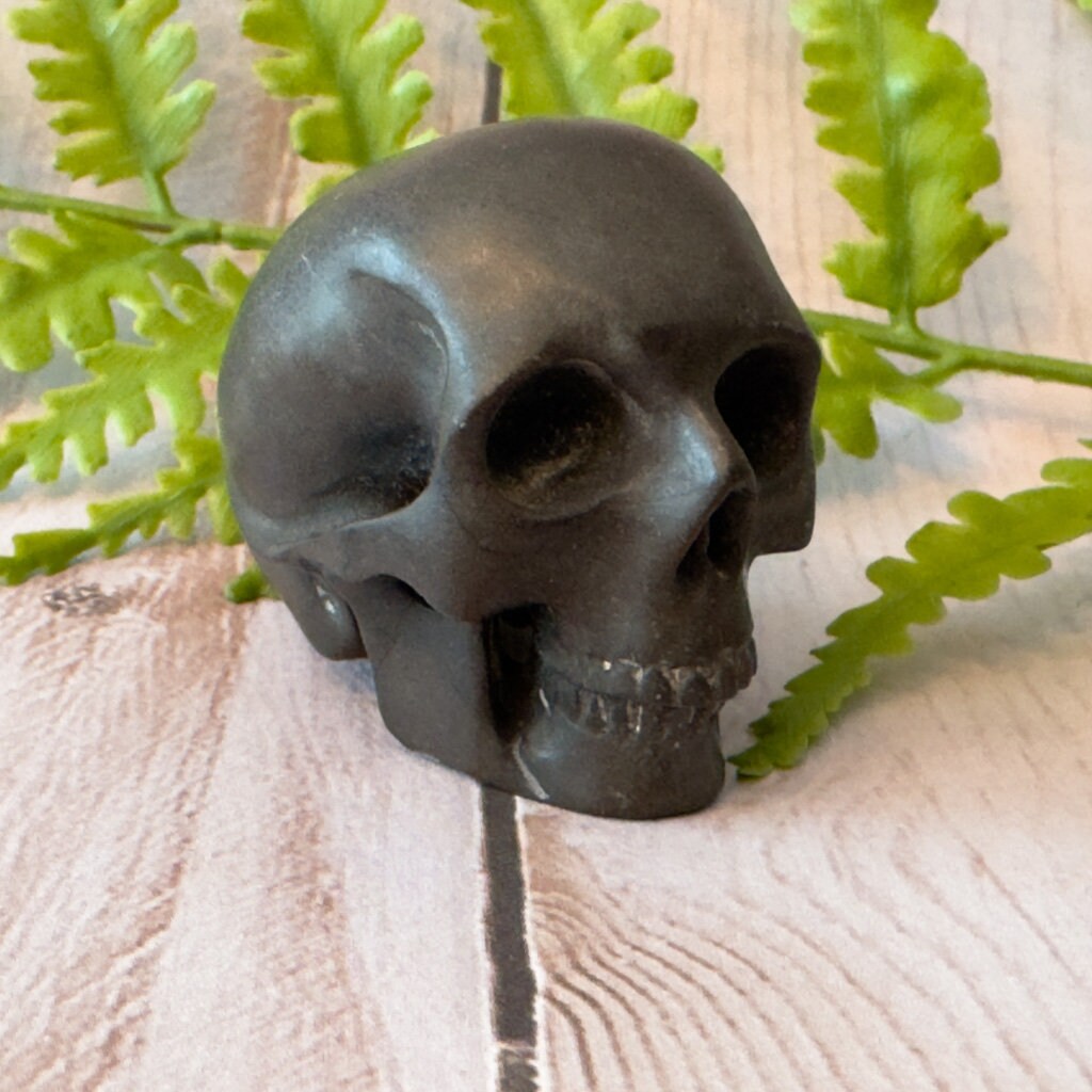 Adorable shale skull carved by Artifactual.