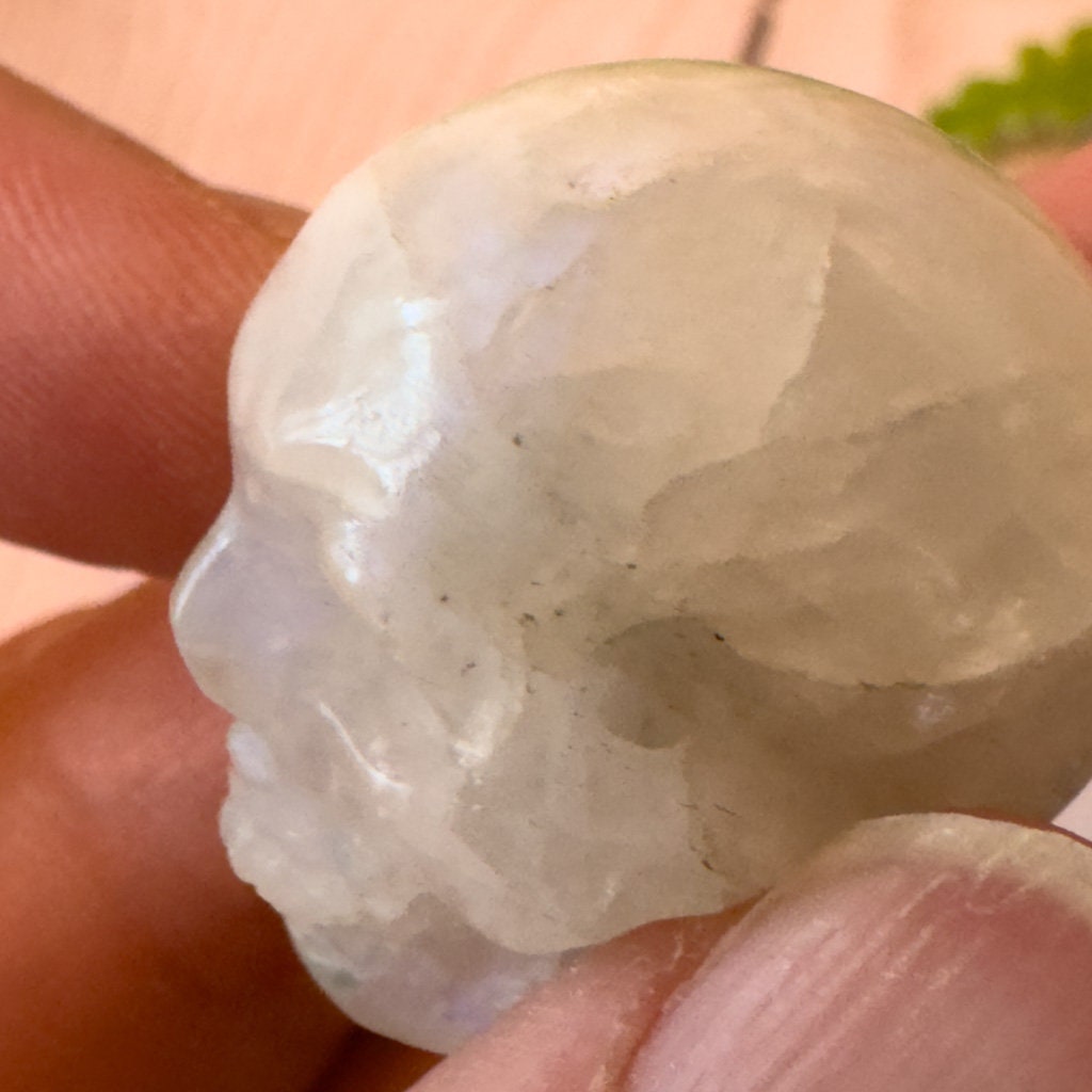 Blue Moonstone Skull lby Artifactual