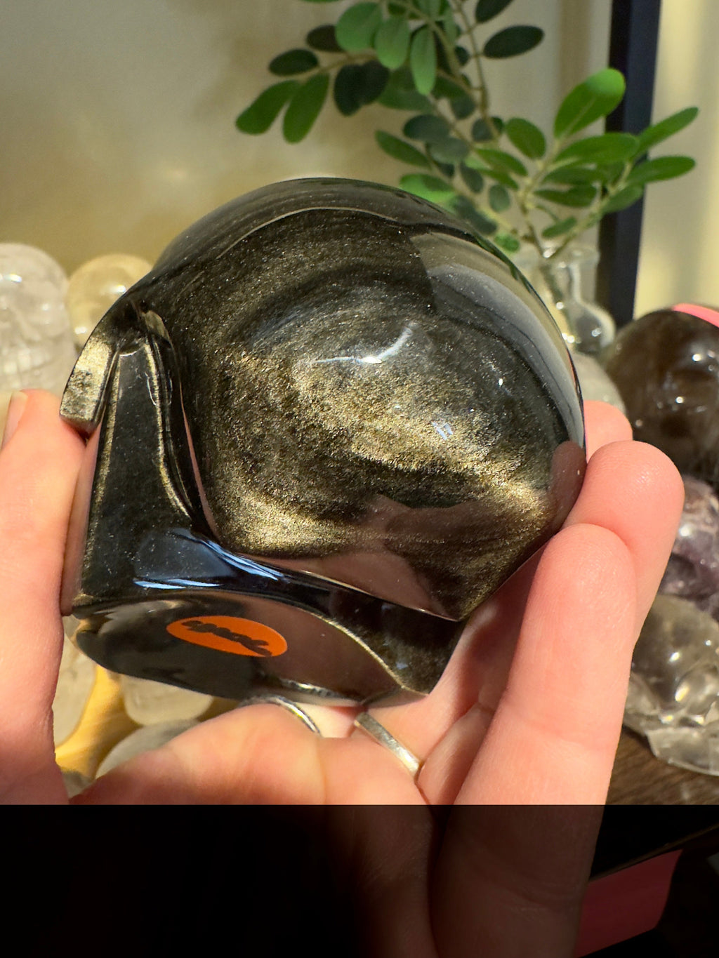 Amazing Gold Sheen Obsidian Skull