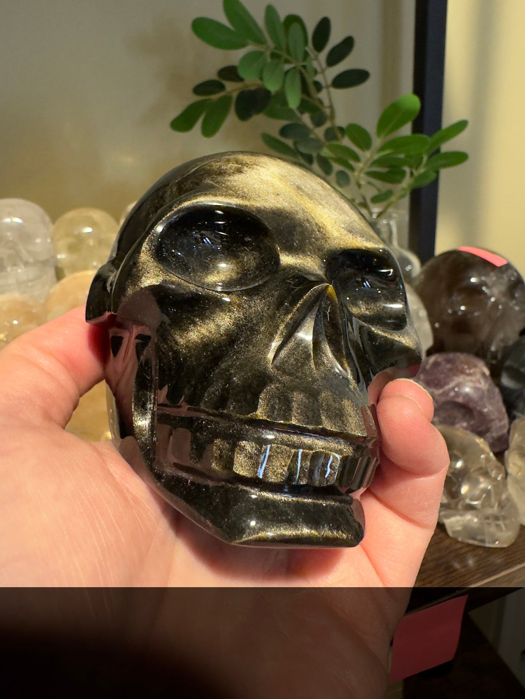 Amazing Gold Sheen Obsidian Skull