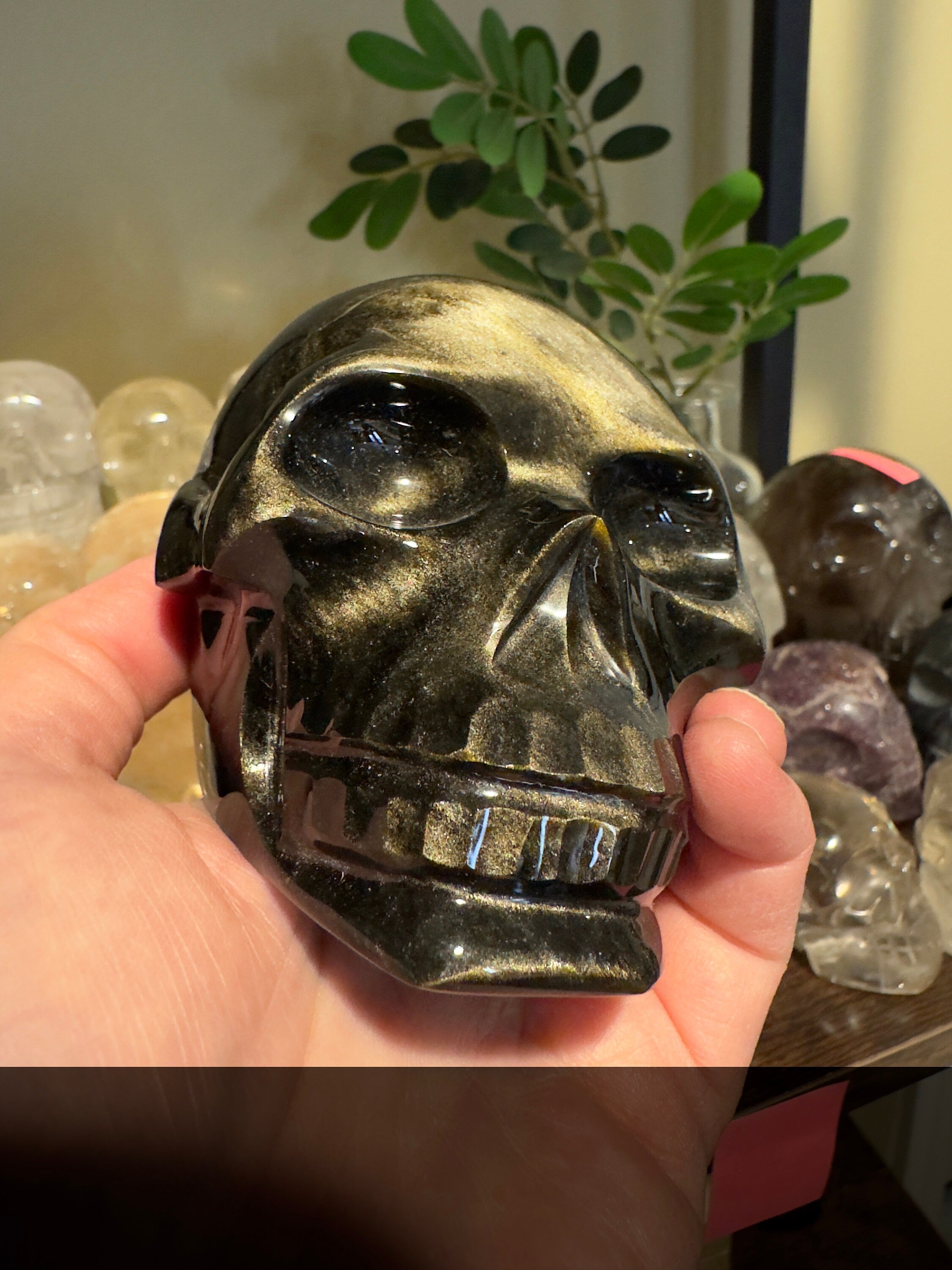 Amazing Gold Sheen Obsidian Skull