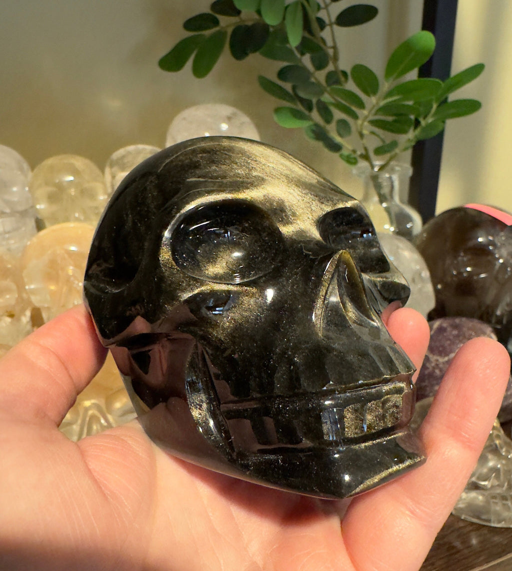 Amazing Gold Sheen Obsidian Skull