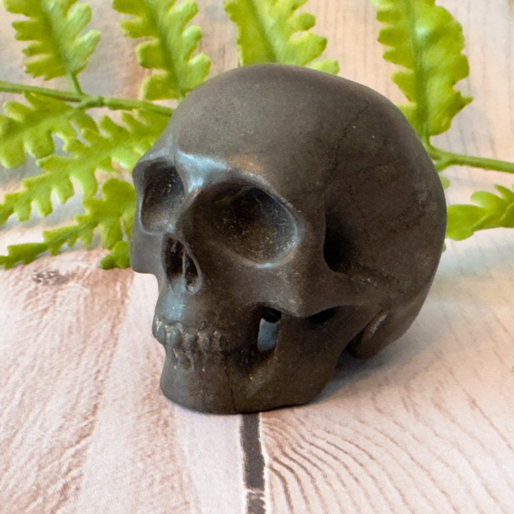 Adorable shale skull carved by Artifactual.