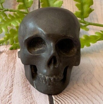 Adorable shale skull carved by Artifactual.