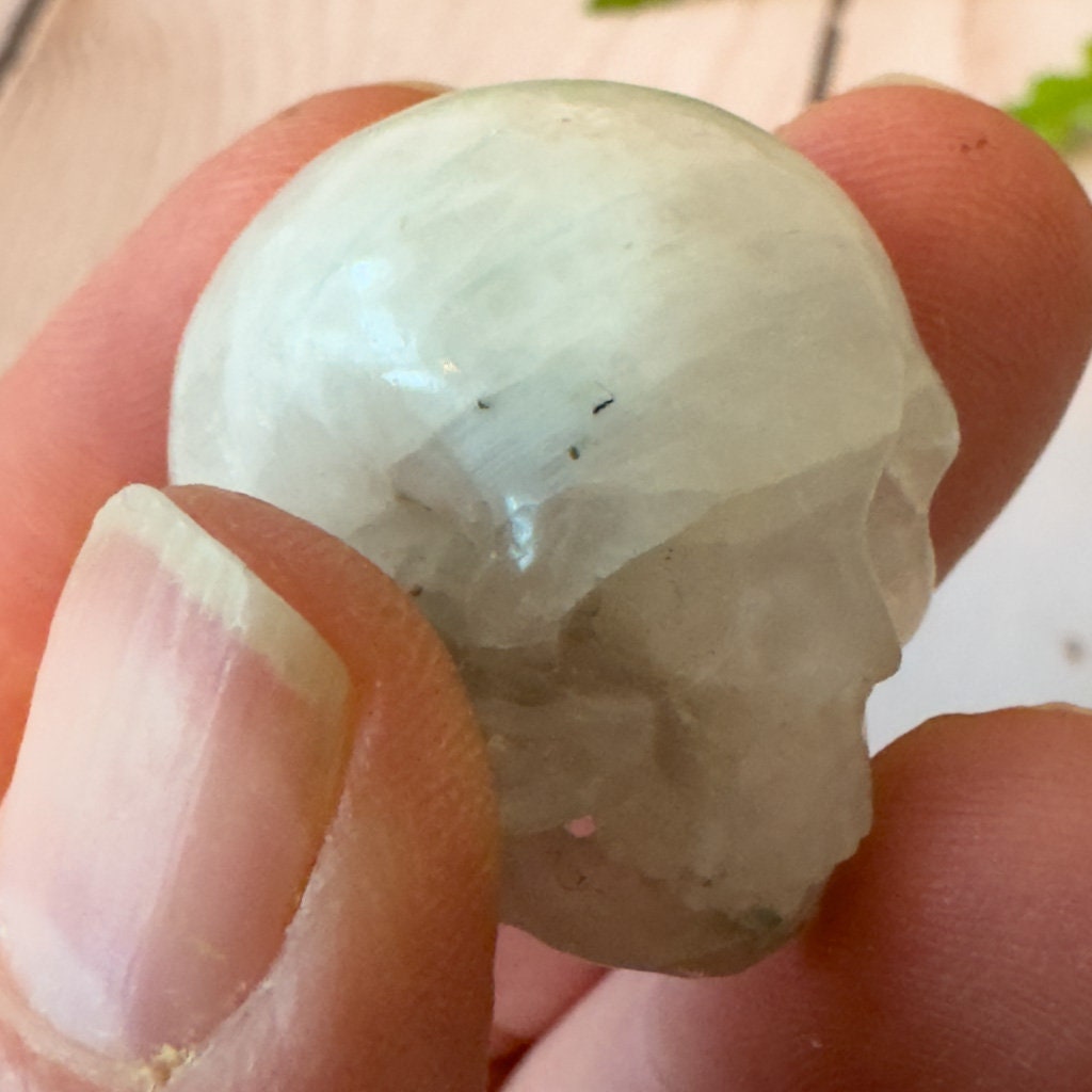 Blue Moonstone Skull lby Artifactual