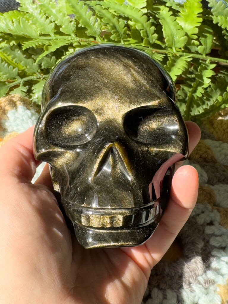 Amazing Gold Sheen Obsidian Skull