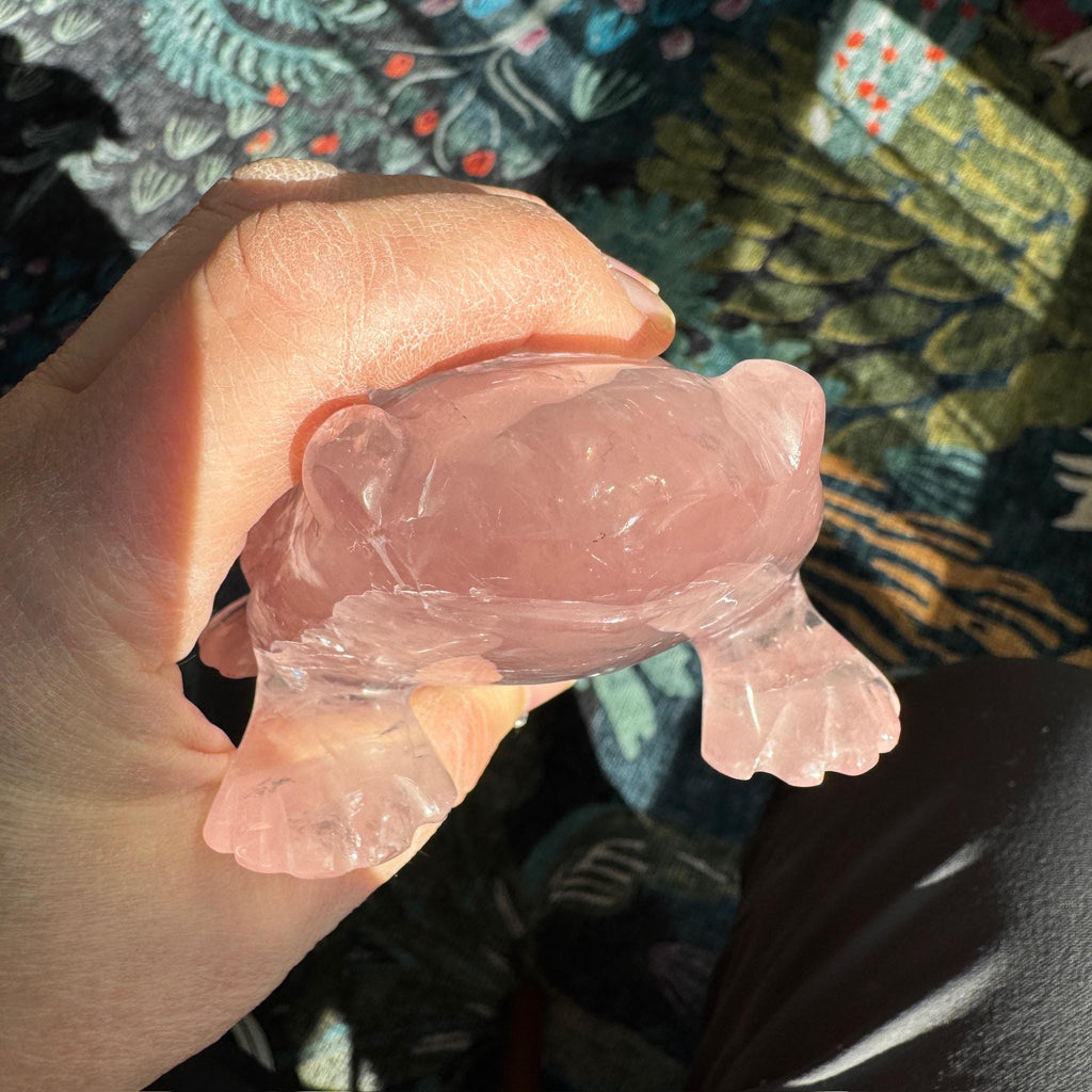 Super Sweet Rose Quartz Frog, Venturini Carve