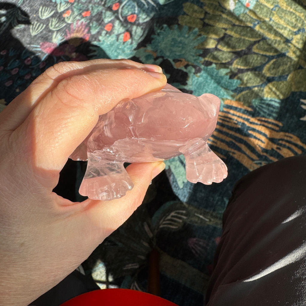 Super Sweet Rose Quartz Frog, Venturini Carve
